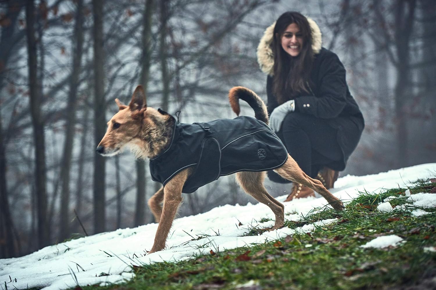 HUNTER Uppsala Softshell Dog Coat, 45 cm, Black - Image 4