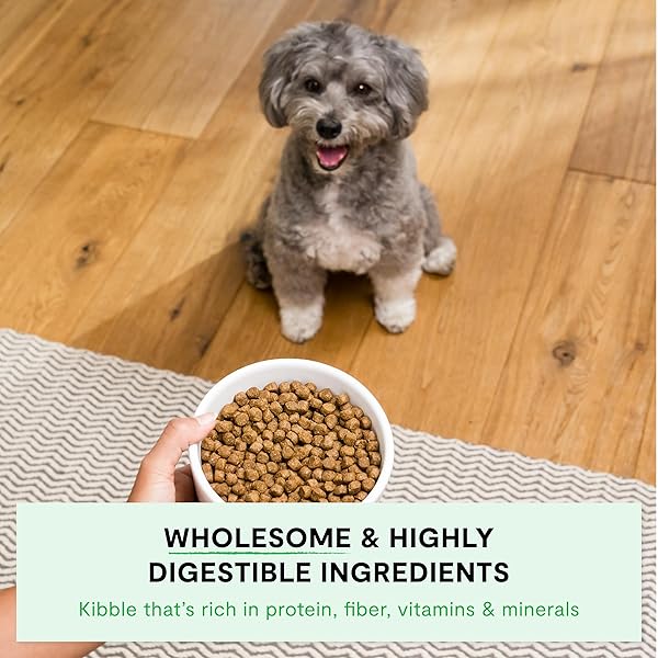 OPEN FARM, ANCIENT GRAINS DRY DOG FOOD FOR SMALL BREEDS, PROTEIN-RICH & NUTRIENT DENSE, 90% ANIMAL PROTEIN WITH NON-GMO FRUITS, VEGGIES AND SUPERFOODS, CHICKEN & TURKEY RECIPE FOR SMALL DOGS, 4LB BAG