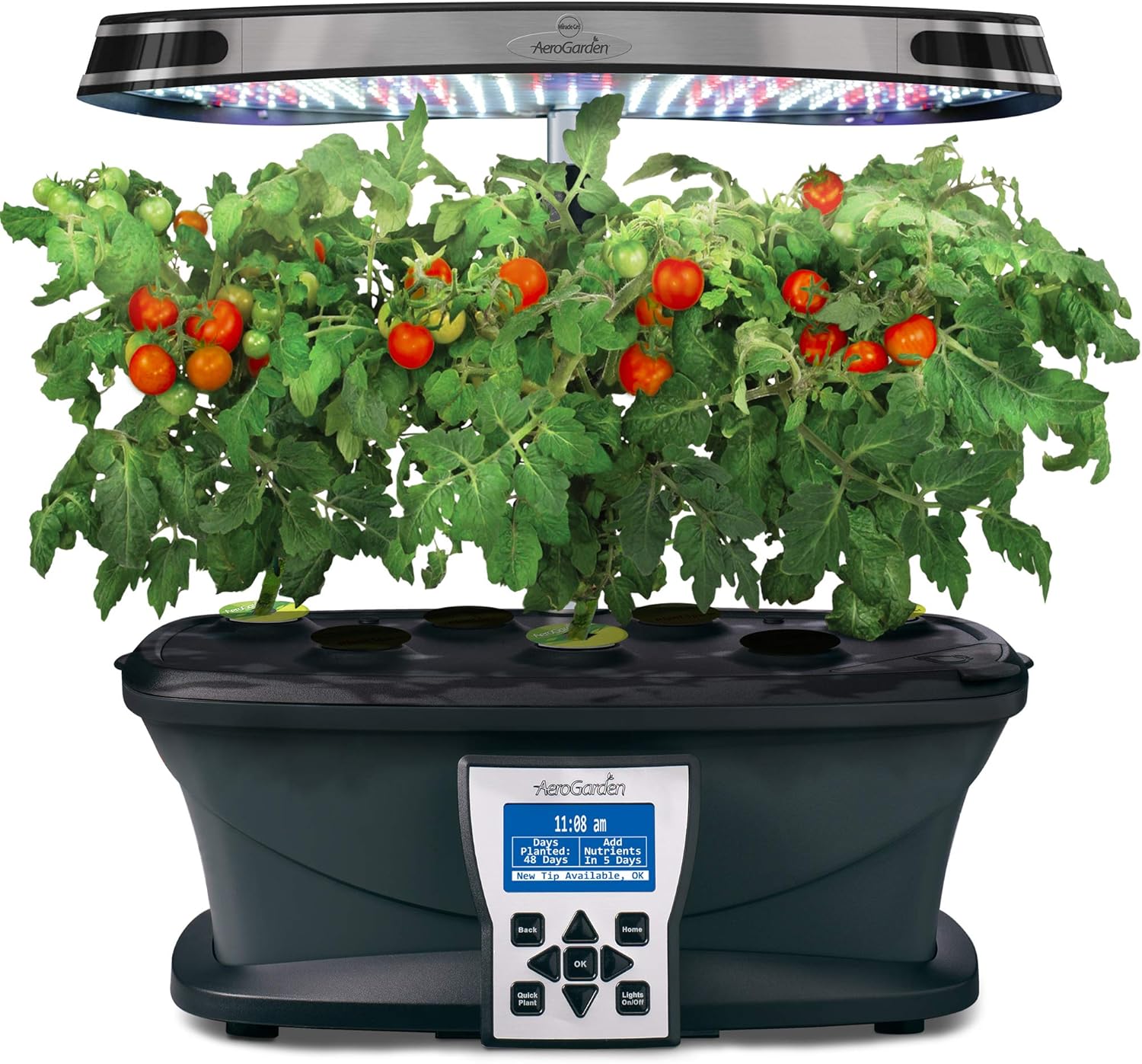 AeroGarden Red Heirloom Cherry Tomato Seed Pod Kit eBay