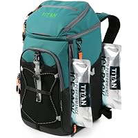 Insulated Backpack Cooler 