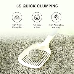 BLUERISE Tofu Cat Litter 6LB×2Bags Natural Cat