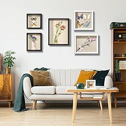 CCDCC 11x14 Shadow Box Display Case with Tempered