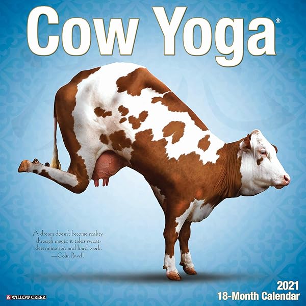 Cow Yoga 2020 Wall Calendar Willow Creek Press 9781549206061 Amazon Com Books