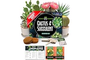 HOME GROWN Succulent & Cactus Seed Kit for Planting – [Enthusiasts Favorites] Premium Cactus & Succulent Starter Kit: 4 Planters, Drip Trays, Markers, Seeds Mix, Soil - DIY Gift Kits