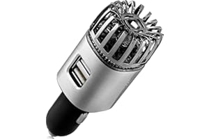 TWINKLE BIRDS Car Air Purifier Ionizer - 12V Plug-in Ionic Anti-Microbial Car Deodorizer with Dual USB Charger - Smoke Smell, Pet and Food Odors, Allergens, Viruses Eliminator for Car (Matte Silver)