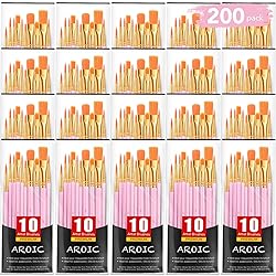 Acrylic Paint Brush Set, (20 Packs /200 pcs) Nylon