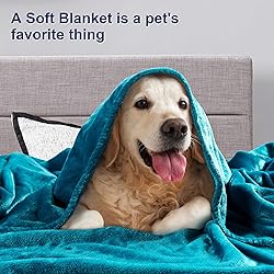DREAMNINE Super Large Soft Fuzzy Flannel Fleece Bed