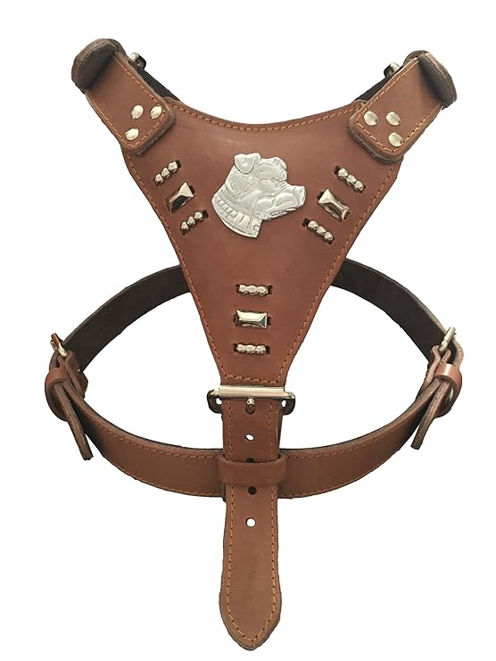 Extra Large Heavy Duty Leather Dog Harness with Staffordshire Bull