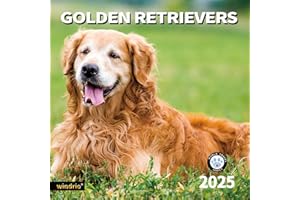 WINDRIO 2025 Wall Calendar,Calendar 2025, November 2024 - December 2025, Wall Calendar Golden Retrievers, 12" x 24" Opened,Full Page Months Thick & Sturdy Paper for Calendar Organizing & Planning