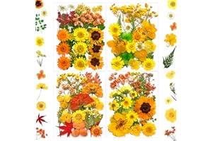 MIKIYA 88Pcs Yellow Pressed Dried Flowers for Resin Molds, Real Natural Bulk Dry Floral Leaves for DIY Art Crafts, Epoxy Jewelry, Candle, Soap Making, Nails Decors