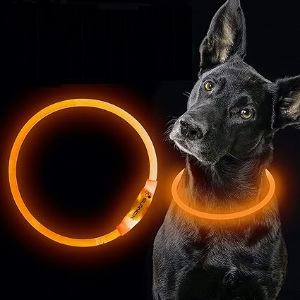 ELANOX Collar de perro LED recargable USB tamaño universal luminoso (naranja)