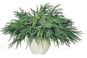 AIMEIAR 6Pcs Christmas Norfolk Pine Branches, 18 Inch Artificial Christmas Branches DIY Crafts Faux Christmas Norfolk Branches for Xmas Indoor Outdoor Home Decor