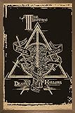 Trends International Harry Potter - Deathly Hallows
