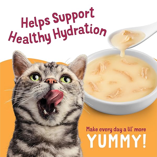 PURINA FRISKIES POULTRY FAVES BROTH AND GRAVY CAT FOOD COMPLEMENTS VARIETY PACK – 8 CT. BOX