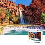 Jigsaw Puzzles for Adults,Puzzles for Adults 1000