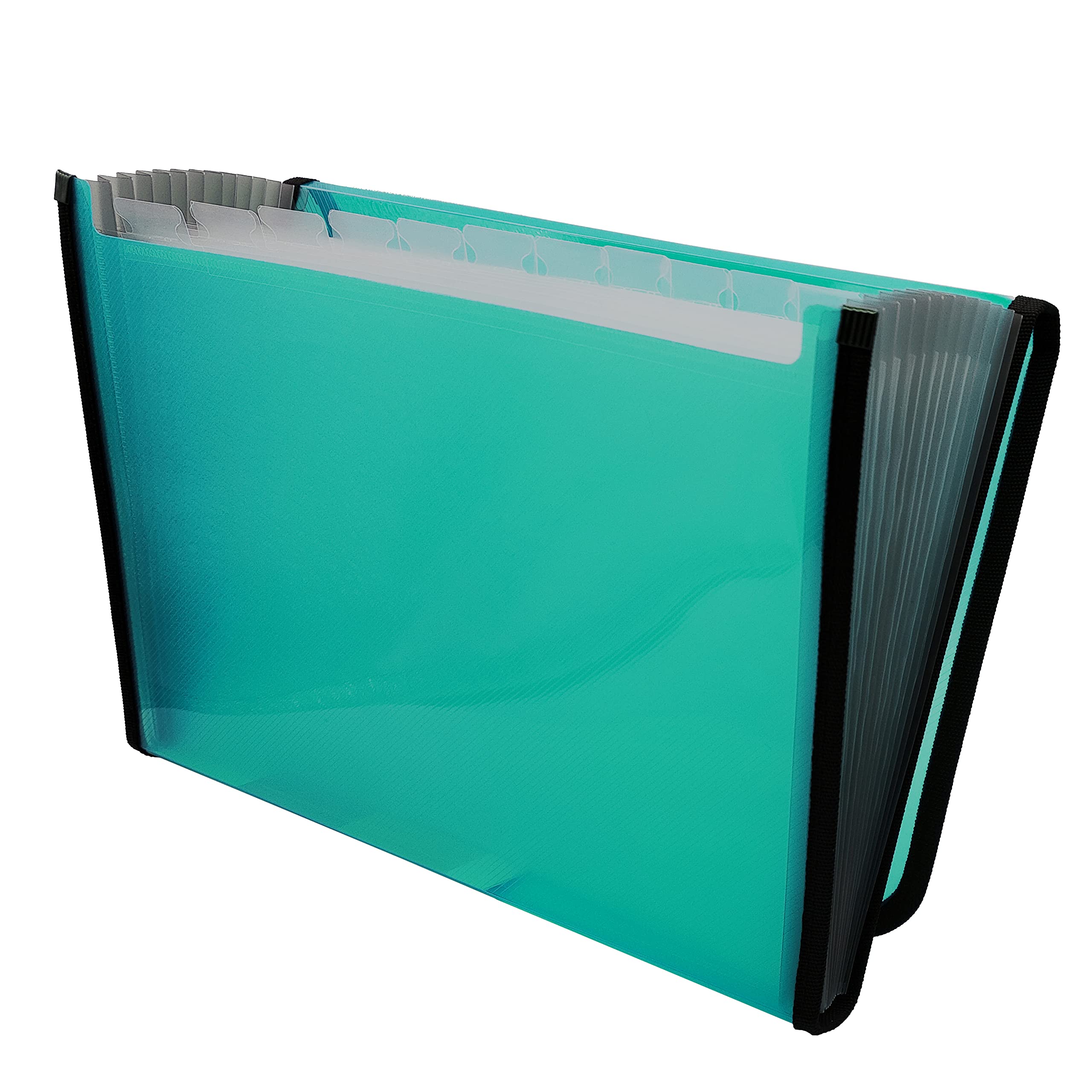 Raylu Paper® - 12 Pockets Accordion Sorting Folder Plastic Folder for Office with Reinforced Dividers and Edges (Turquoise)