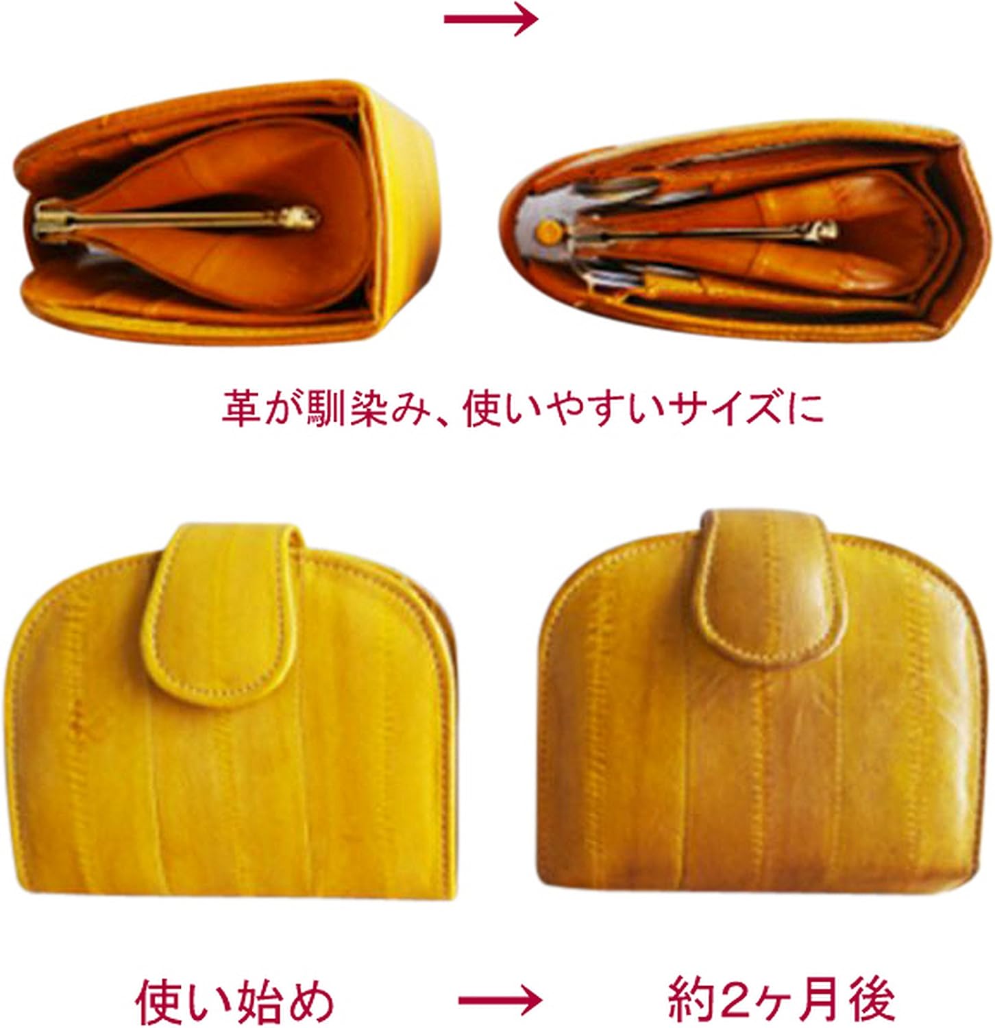 Amazon Ajmstyle かわいい イールスキン 二つ折り 財布 がま口 小銭入れ 付 Bws 253 レディース 本革 レザー 折りたたみ財布 プレゼント ギフト 記念品 誕生日 クリスマス アメジスト Ajmstyle 財布