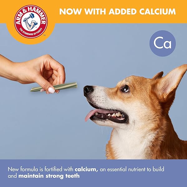 ARM & HAMMER FOR PETS SMOOTHIES DENTAL TREATS FOR DOGS WITH BAKING SODA AND CALCIUM, TREAT CHEWS HELP FIGHT BAD BREATH, PLAQUE & TARTAR WITHOUT BRUSHING, MINT, 57 PCS (PACKAGING MAY VARY)
