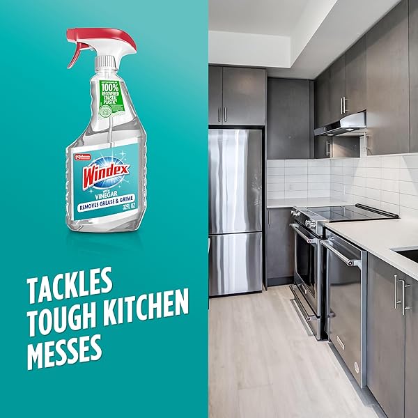 WINDEX WITH VINEGAR GLASS CLEANER, SPRAY BOTTLE, 32 FL OZ