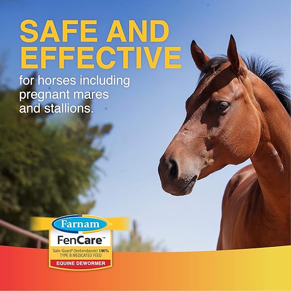 FARNAM FENCARE SAFE-GUARD (FENBENDAZOLE) 1.96% TYPE B MEDICATED FEED EQUINE DEWORMER 5 OUNCES