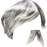 Geppetto Wig and Moustache - Grey
