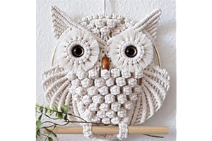 HARWAVE Owl Macrame Wall Hanging, Hand Woven Boho Tapestry Owl Macrame Wall Art Decor for Living Room Office Bedroom (Small)