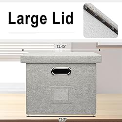 Graciadeco File Organizer Box, Collapsible Storage