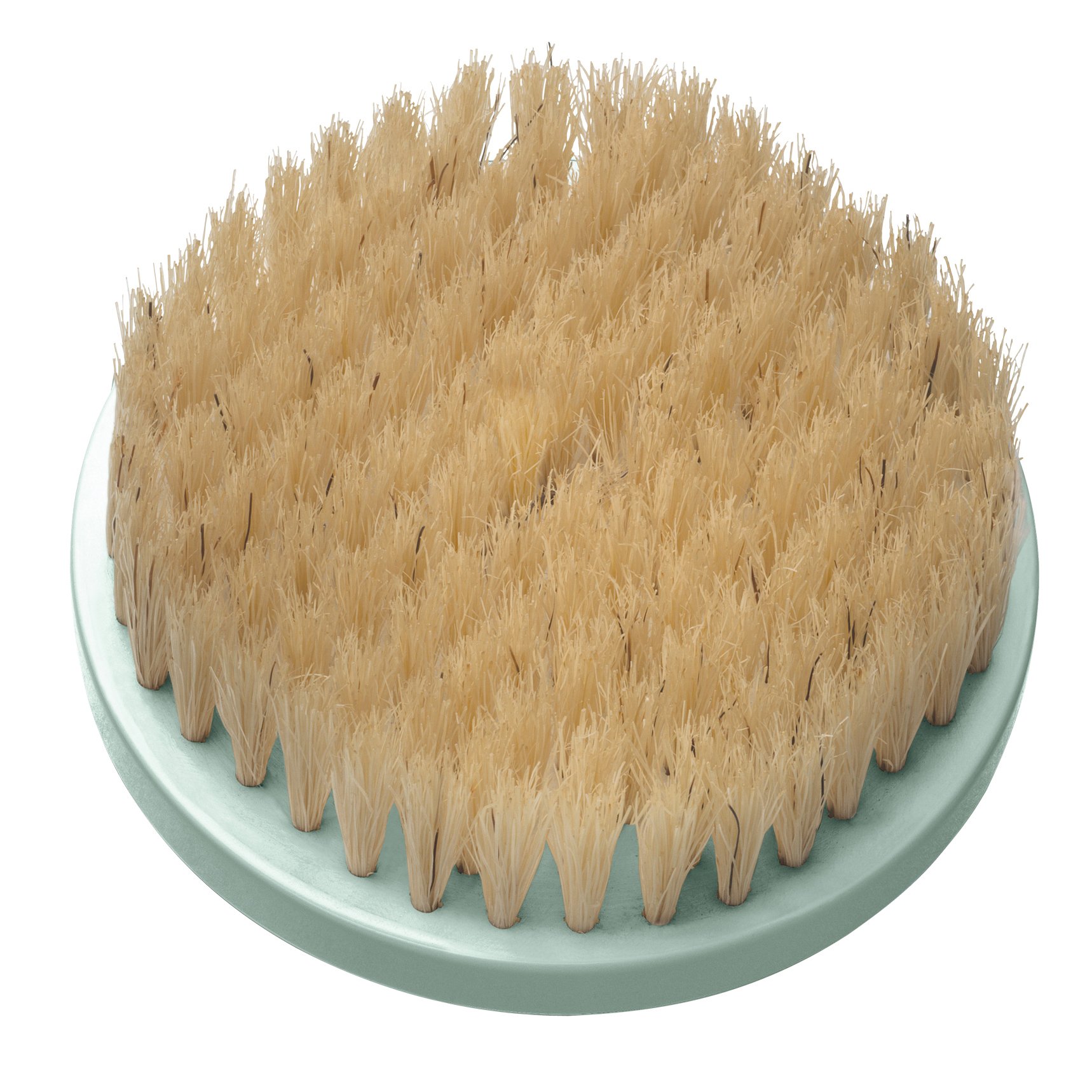 Remington Replacement Natural Reveal Brush Compatible with BB1000 - SP-BB2