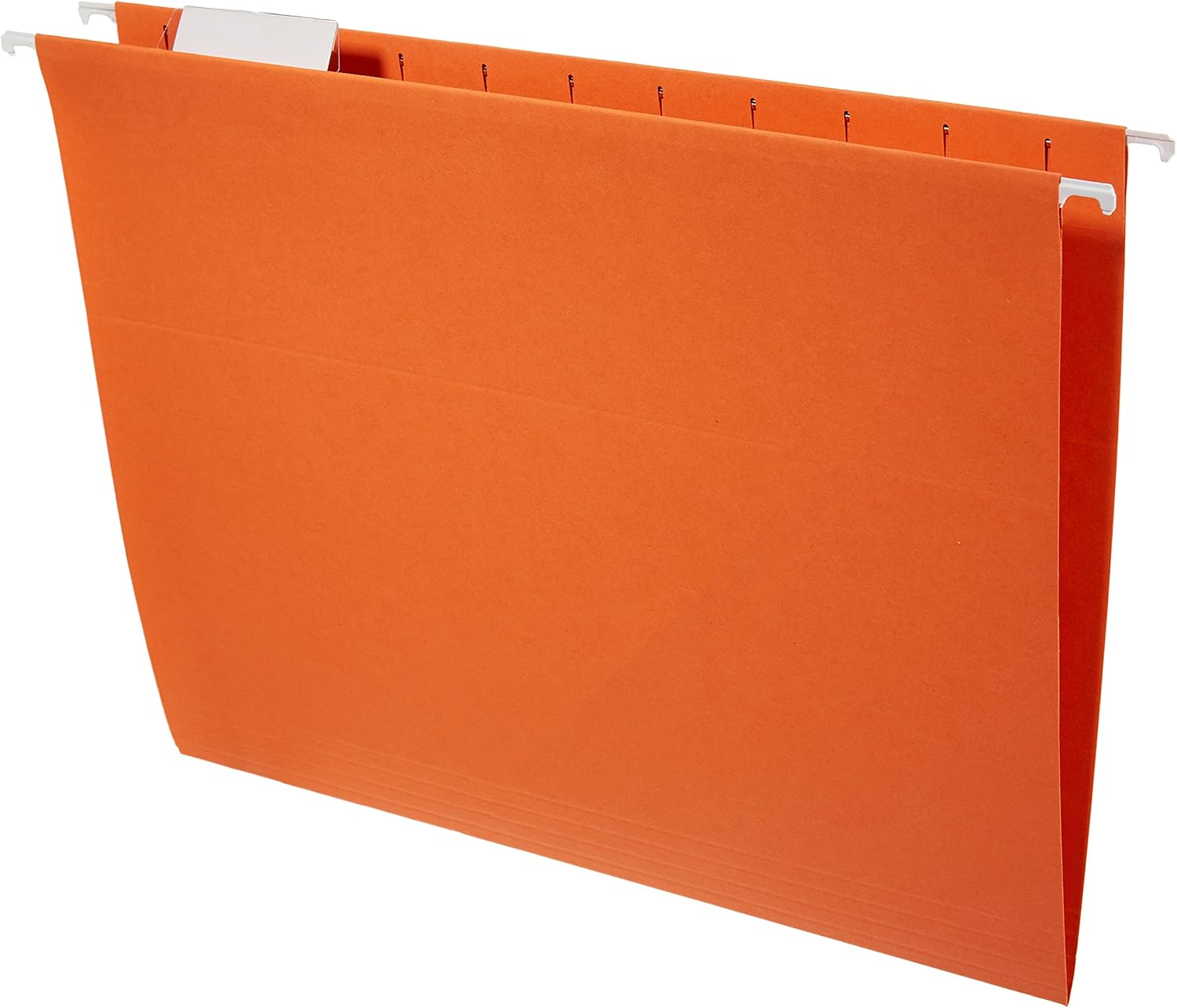 Basics Hanging Organizer File Folders - Letter Size, Assorted Colors, 25-Pack : Office Products
