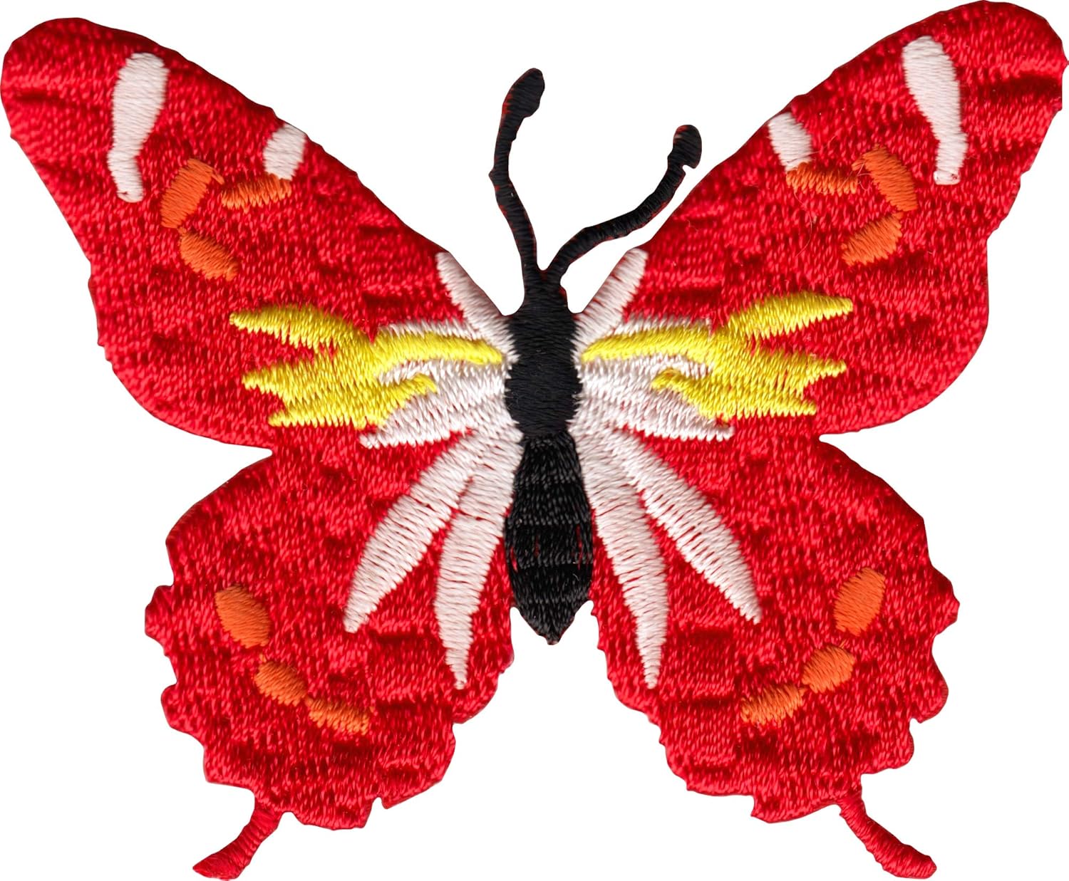 Amazon Com Red Yellow Orange White Black Beautiful Butterfly