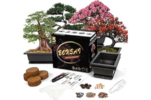 Sproutix Bonsai Starter Kit, 5 Seeds Growing into Blue Spruce, Chinese Boxwood, Dawn Redwood, Flame Tree and Judas Tree, Including Complete Gardening Tools with A Gift Box, Christmas Gifts for Women