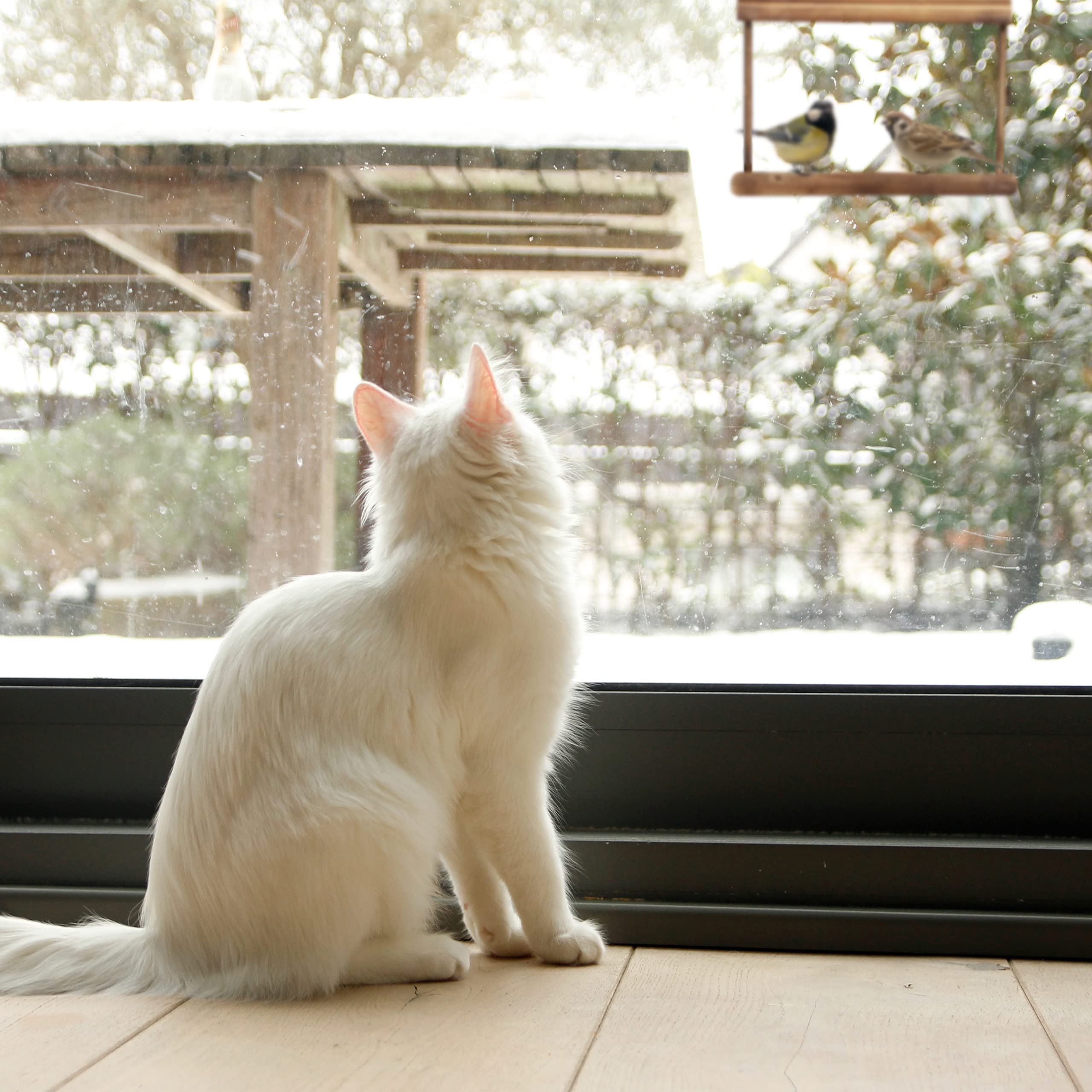 View 5