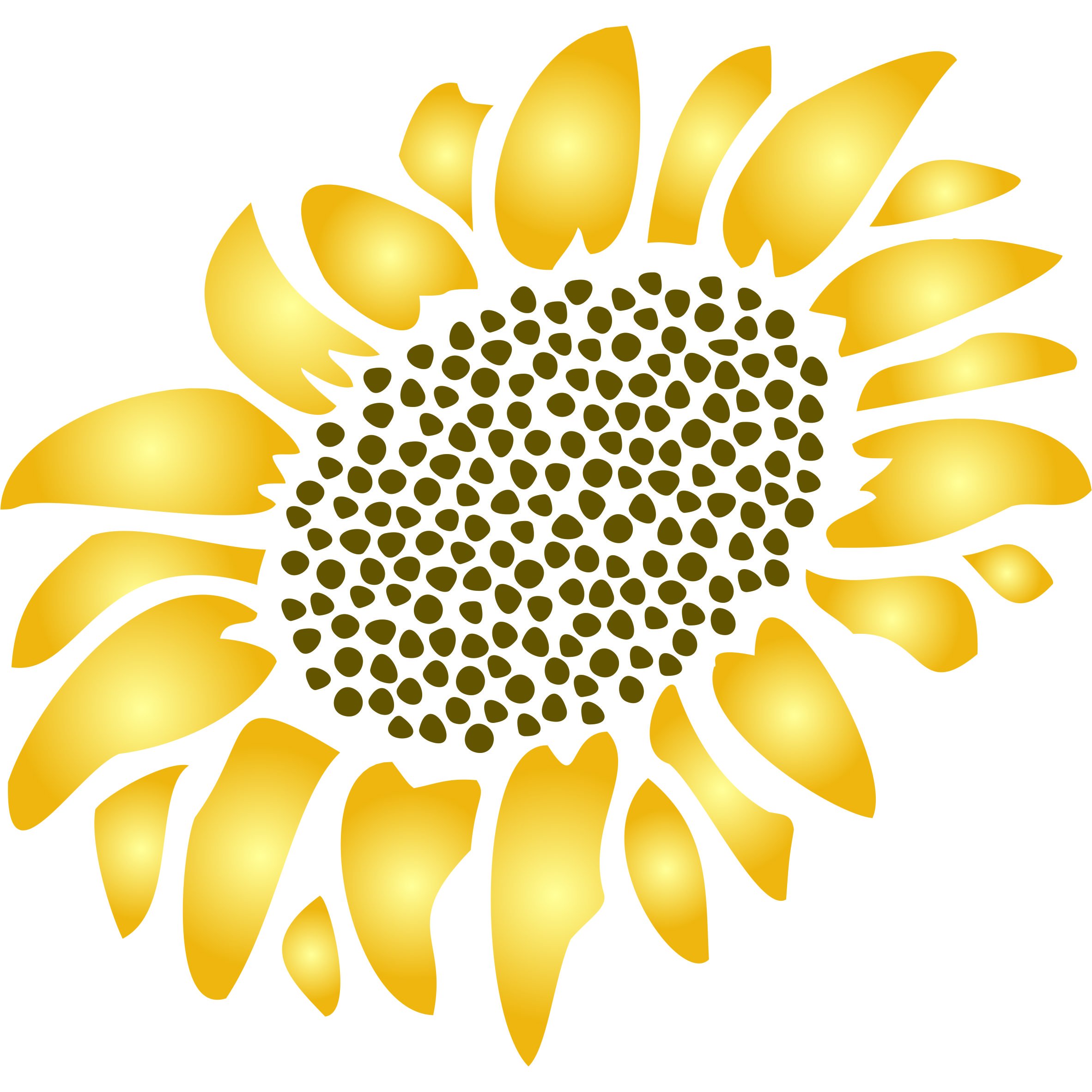 Sunflower Stencil - 12.5 x 15cm (S) - Reusable Large Flower Plant Seed Wall Stencil Template