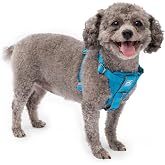 Kurgo Tru-Fit Smart Harness, Blue, Extra Small | Dog Walking Harness with Quick Release Buckles, Front &amp; Back Leash Attachments, Reflective Trim, Includes Seatbelt Tether