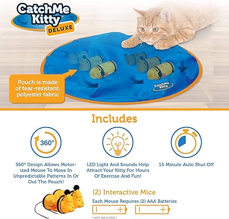 catch me kitty cat toy