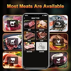 Wireless Meat Thermometer with 2 Ultra-Thin