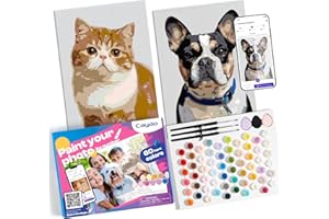 Caydo Custom Paint by Numbers Kit for Adults, Turn Your Photo into A4 Paint Templates in 5 Minutes via App with 60-Color Acrylic Set and 3 Blank Canvases for Gift & Home Activity(No Frame)