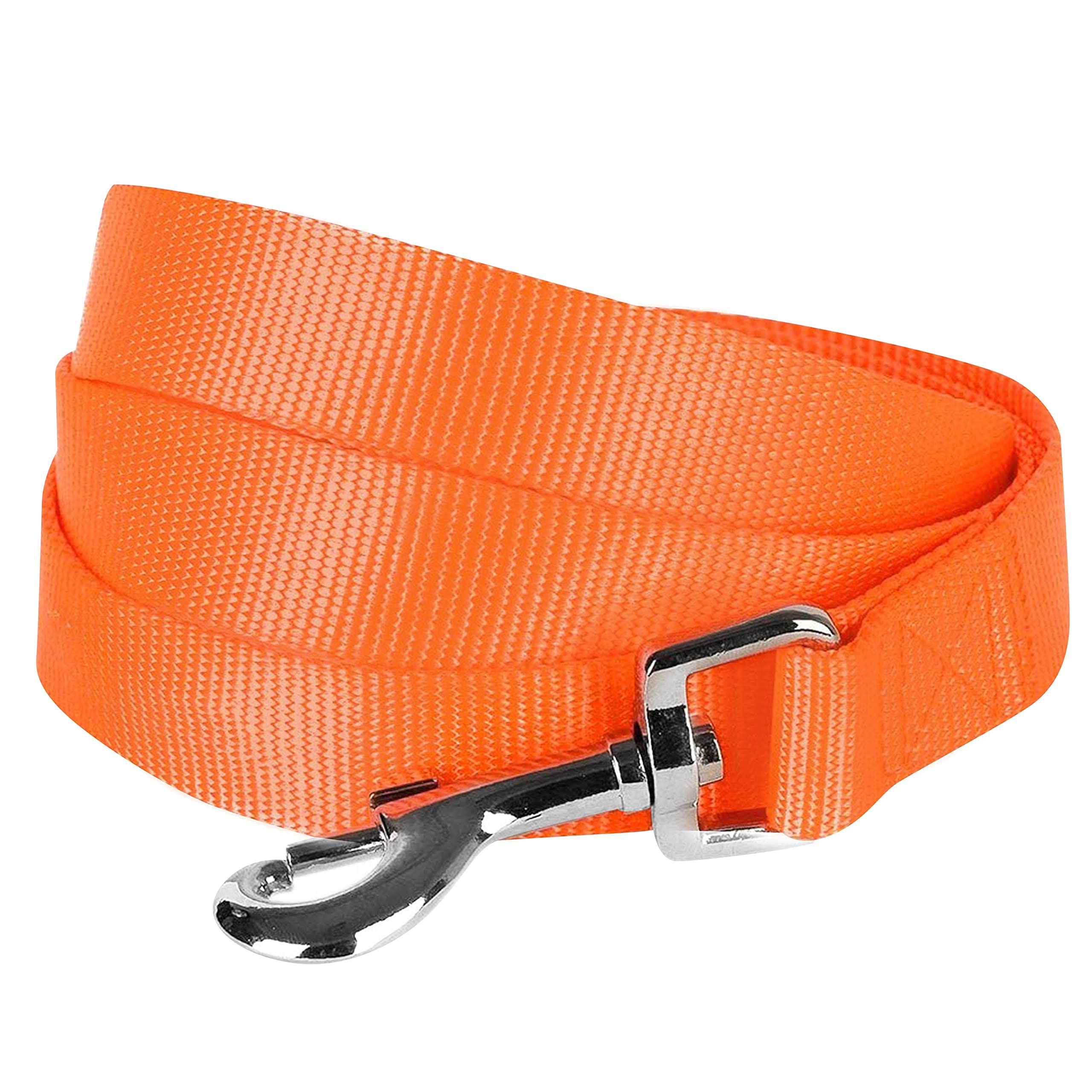 Blueberry Pet Essentials 19 Colors Durable Classic Dog Leash 4 ft x 1", Florence Orange, Large, Basic Nylon Leashes for Dogs