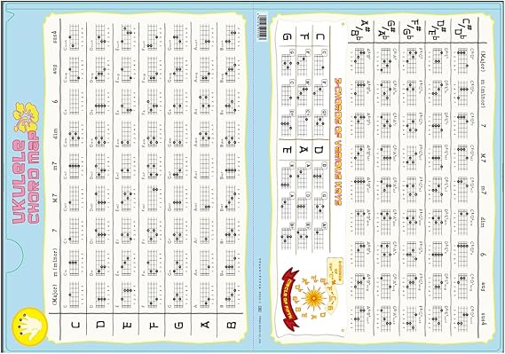 Amazon オリジナルクリアファイル ウクレレコードファイル Prko 1 楽器 音響機器 楽器