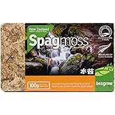 besgrow Premium New Zealand Sphagnum Moss, 100g (8L When Hydrated) - Harvested Sustainably from The Pristine West Coast of New Zealand's South Island