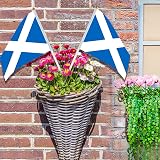 AhfuLife 15pc Scottish Flags on Sticks 14x21cm 30cm Poles Burns Night view 7