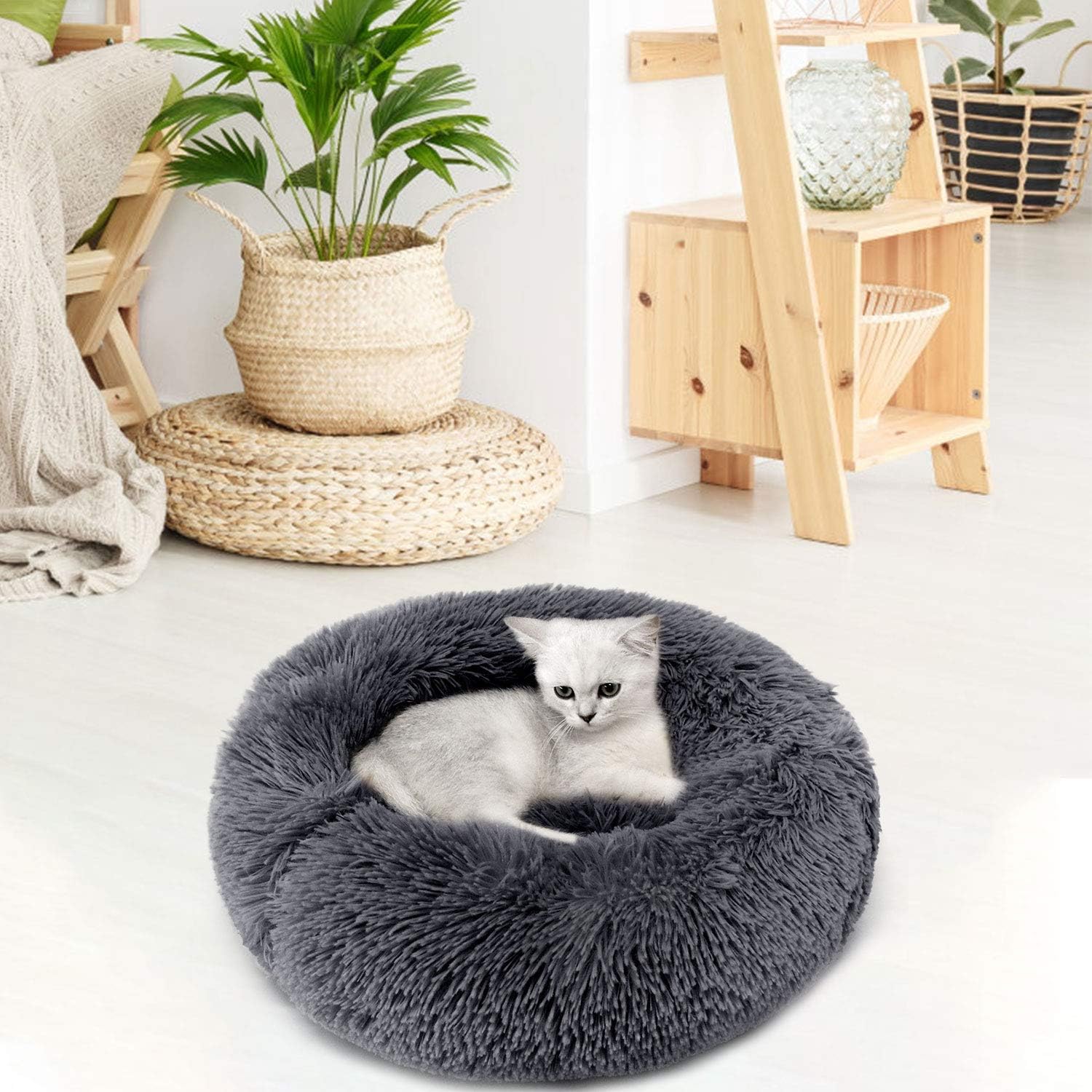 Legendog Cat Bed, Cat Bed for Indoor Cats Cat Bed Round Kitten Cushion Bed, Faux Fur Cat Beds for Small Cat and Small Dog, Plush Soft Cat Sleeping Bed : Pet Supplies