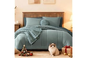 Monbix Queen Comforter Set - 7 Pieces Sage Green Bed in a Bag Queen Bedding Sets with Comforters, All Seasons Comforter Bed Set with Sheets,Pillowcases & Shams