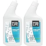 Amazon Com Clorox Toilet Bowl Cleaner With Bleach Rain Clean Scent Bottle 24 Oz 2 Pack Health Personal Care