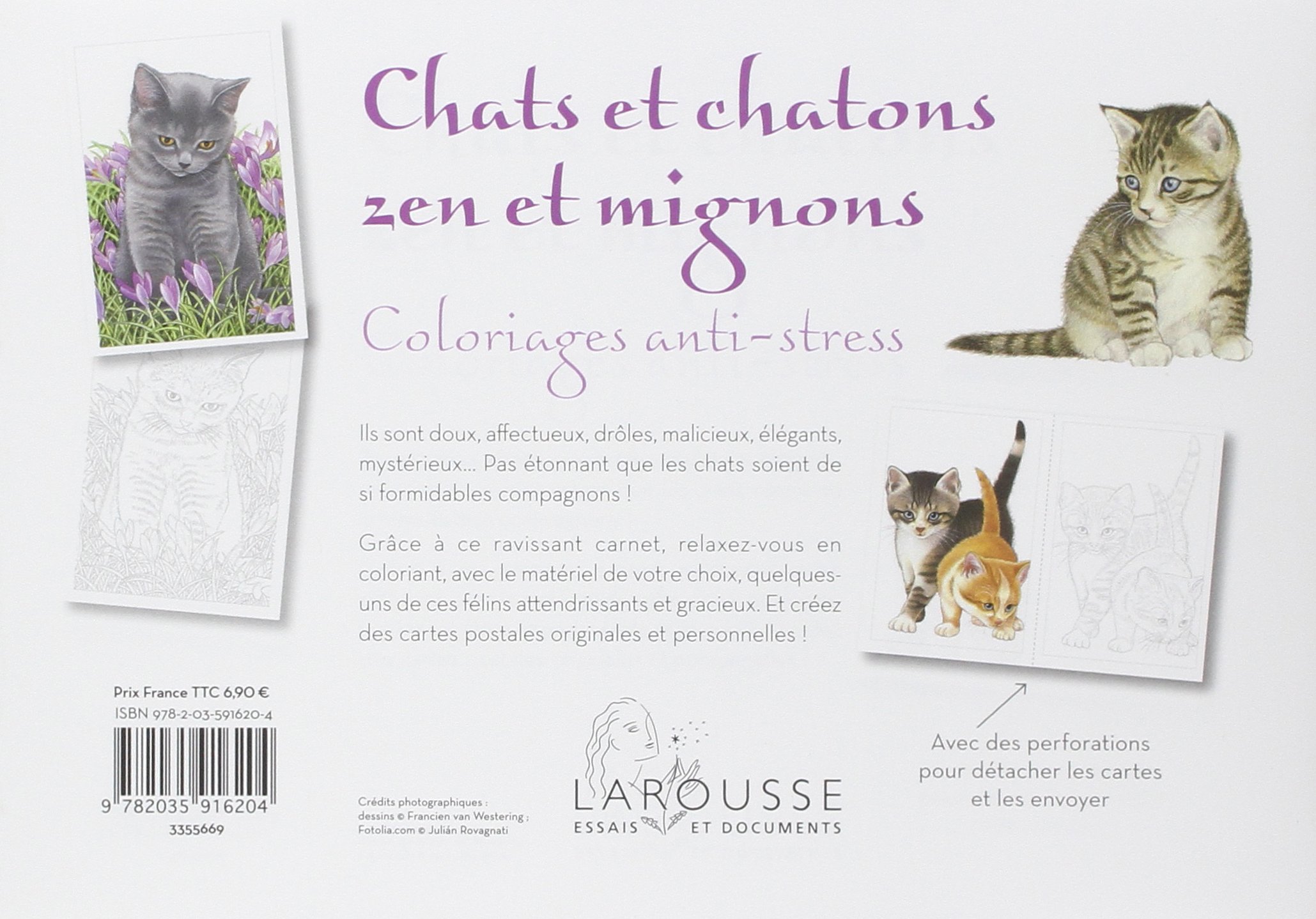 Chats et chatons zen et mignons coloriages anti stress cartes postales Amazon Collectif Livres