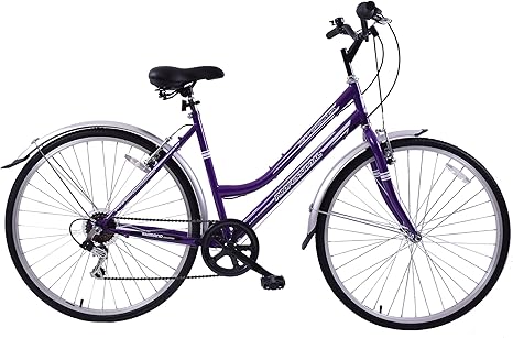 16 womens bike