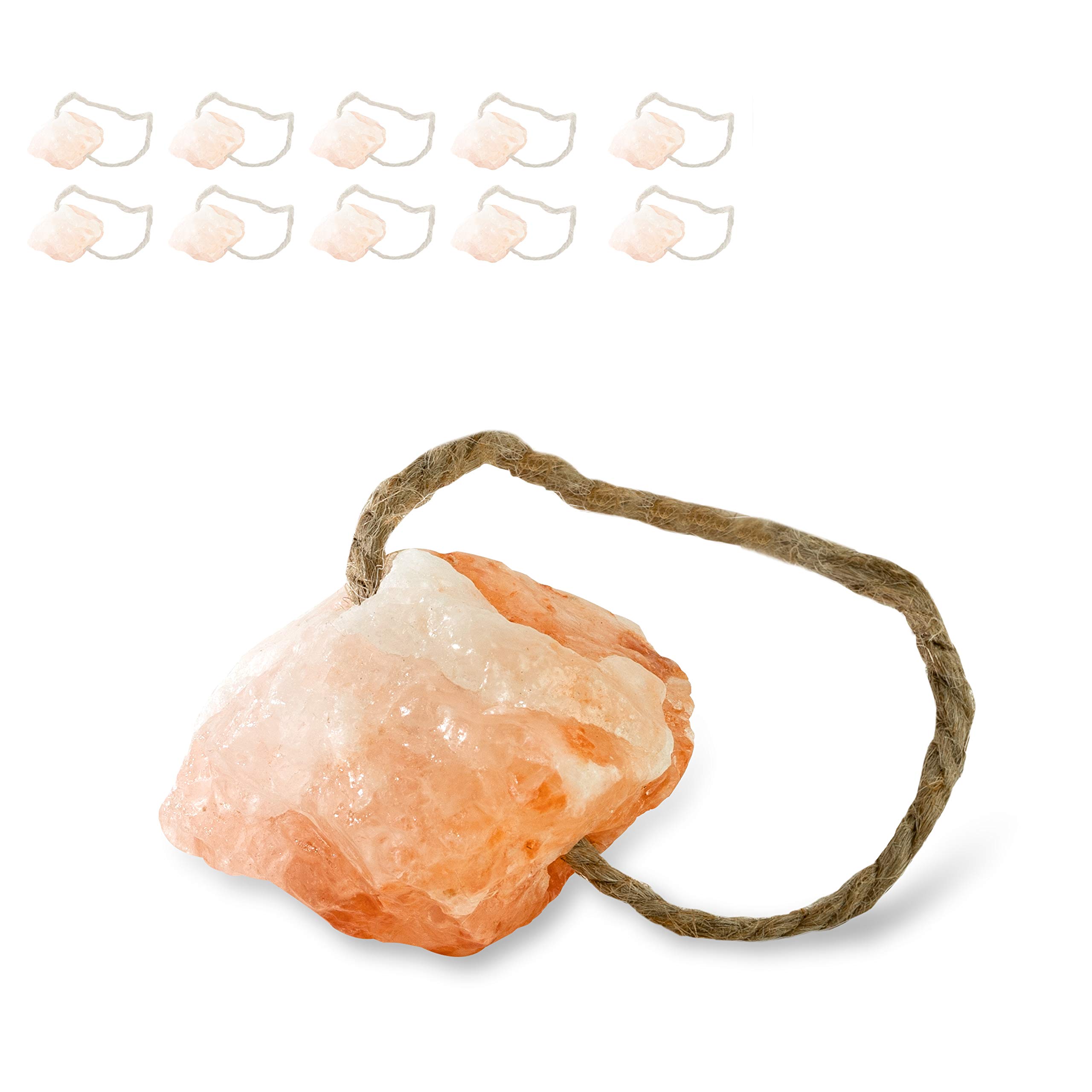 N Nagerteppich.de Himalayan Salt Lick Stones, Set of 10 - 1 kg for Rabbits, Cats, Horses, Sheep and Other Animals