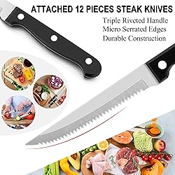 LIANYU 48-Piece Rainbow Silverware Set with Steak