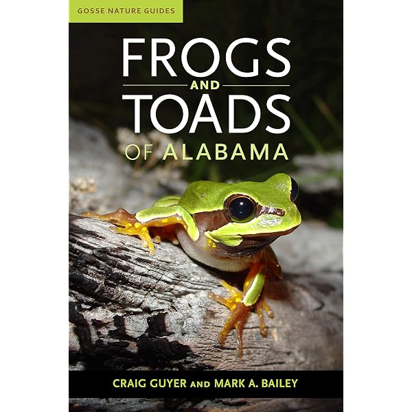 Threatened Amphibians of the World: S.N. Stuart, M. Hoffmann, J.S.