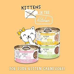 Weruva Cats in The Kitchen Kitten, Kitten Frick 'A